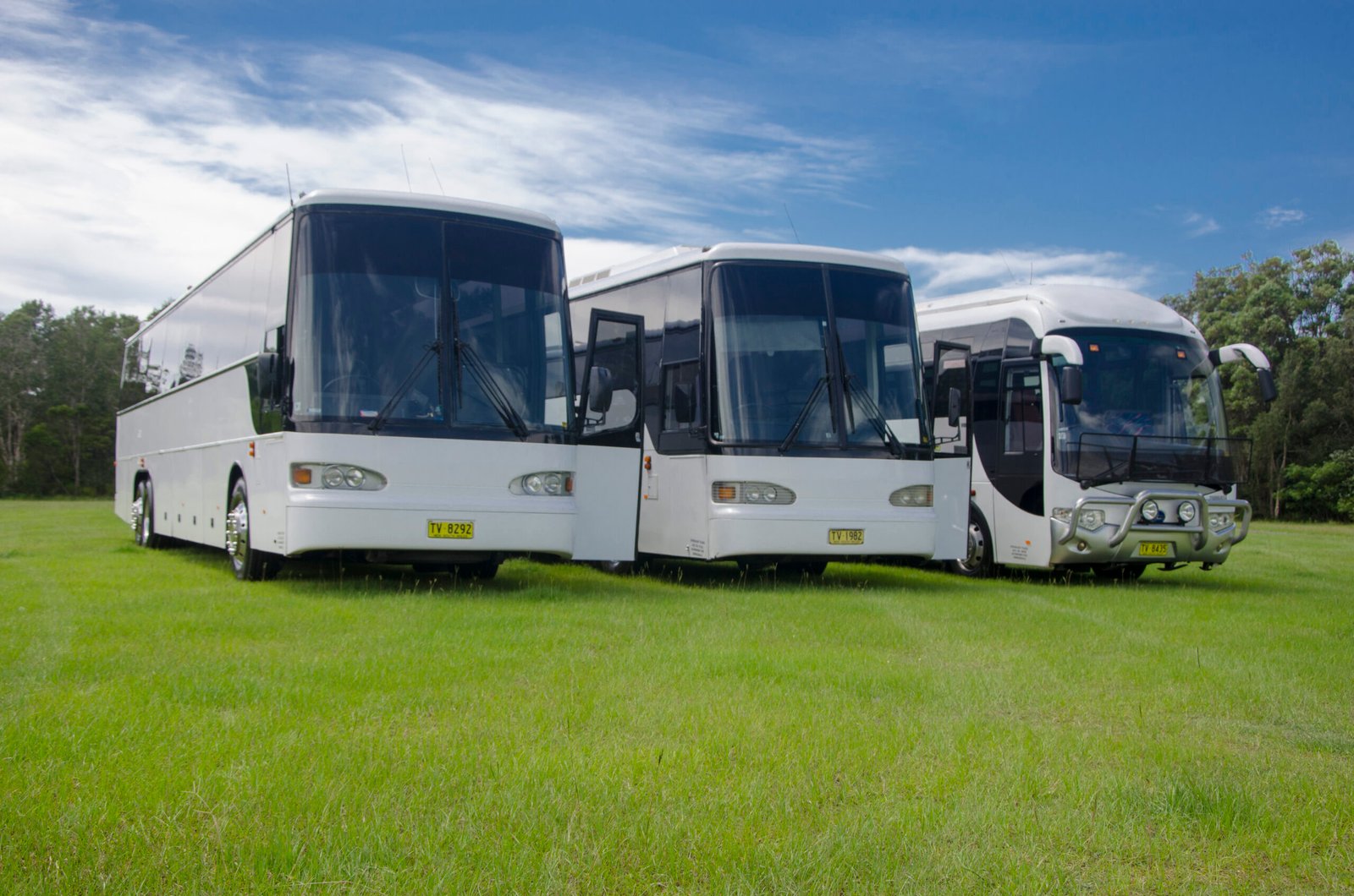 Fleet of white charter coaches lined up on grass